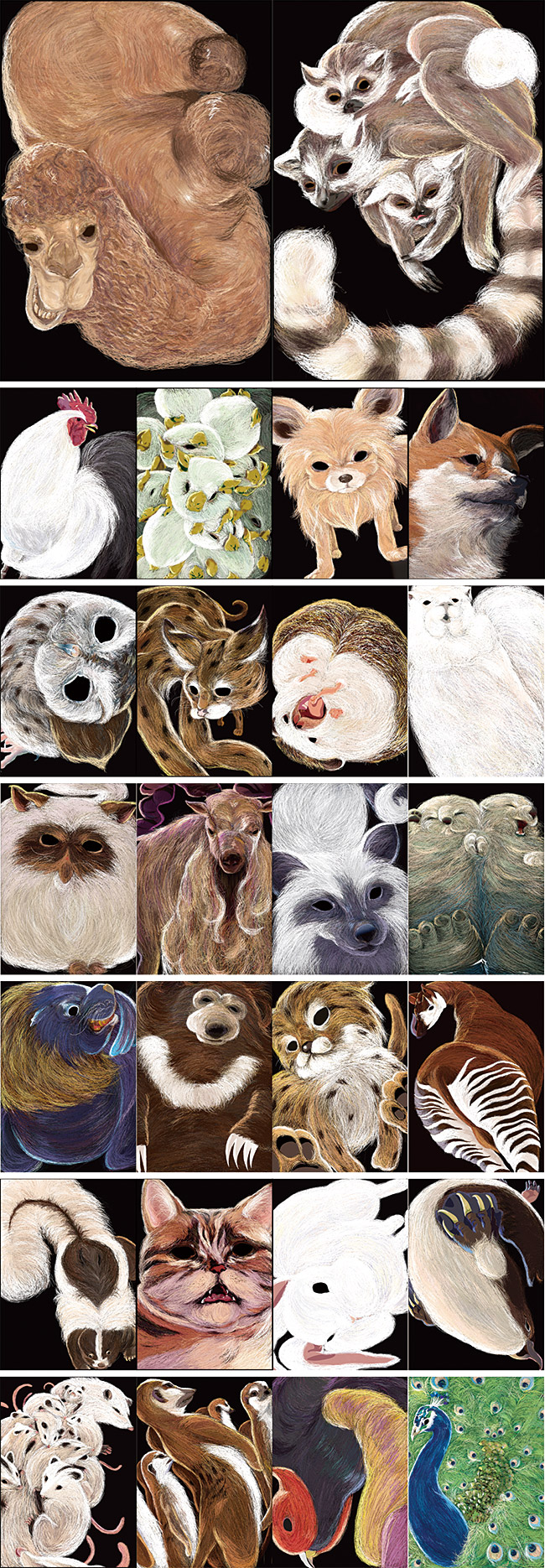 動物イラストレーション（26作品　各作品サイズ 828×615mm）